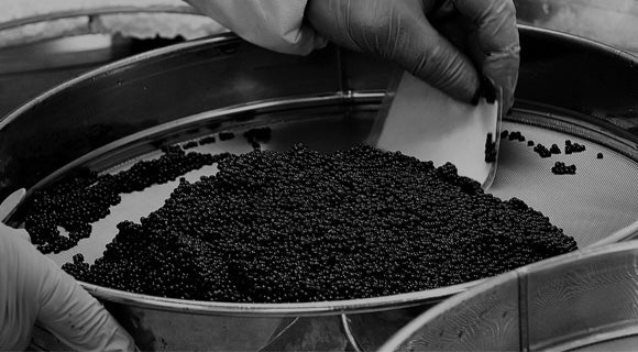 Creating Caviar
